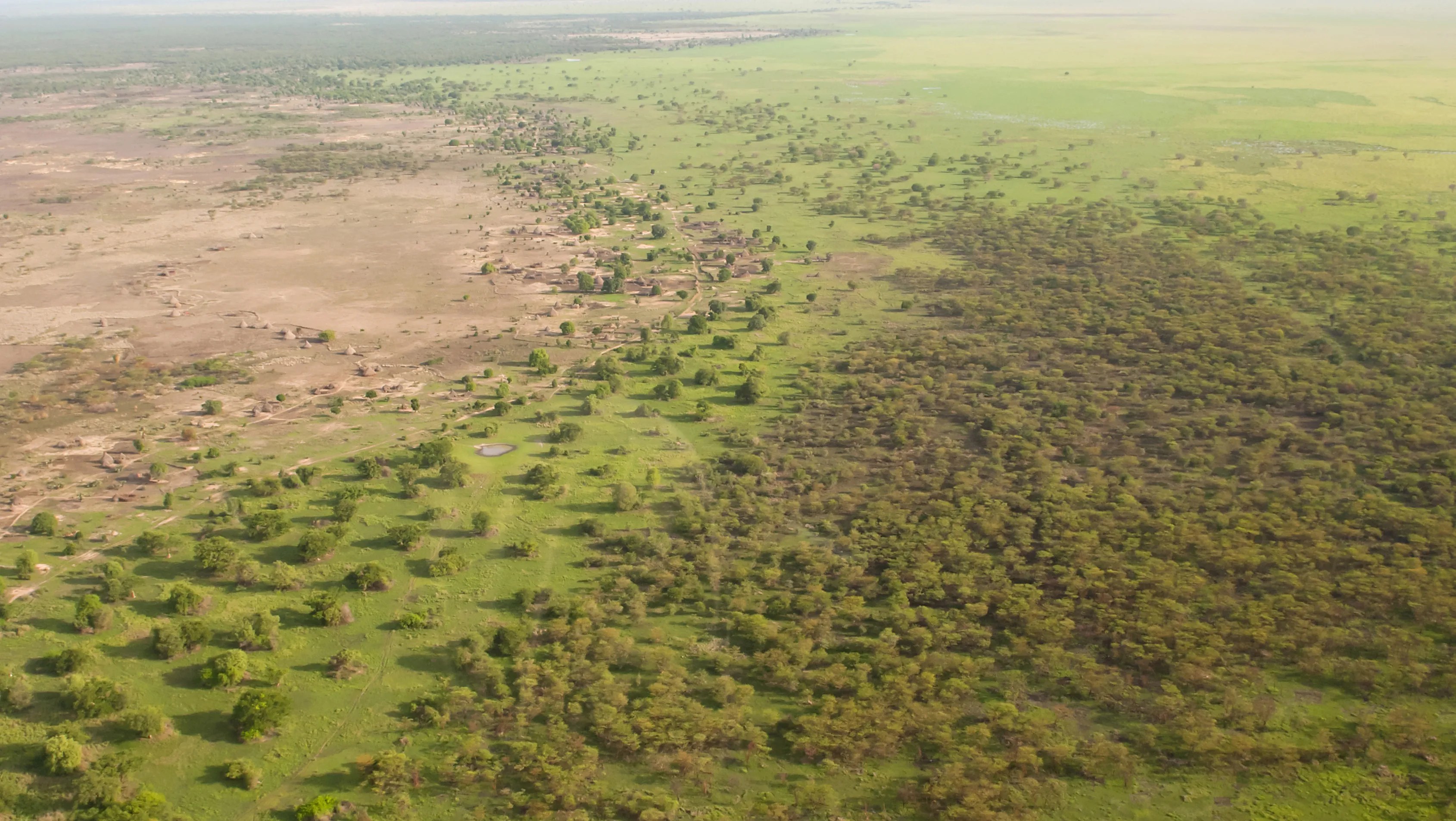Racing to restore 100 million hectares of Africa’s Great Green Wall UNCCD